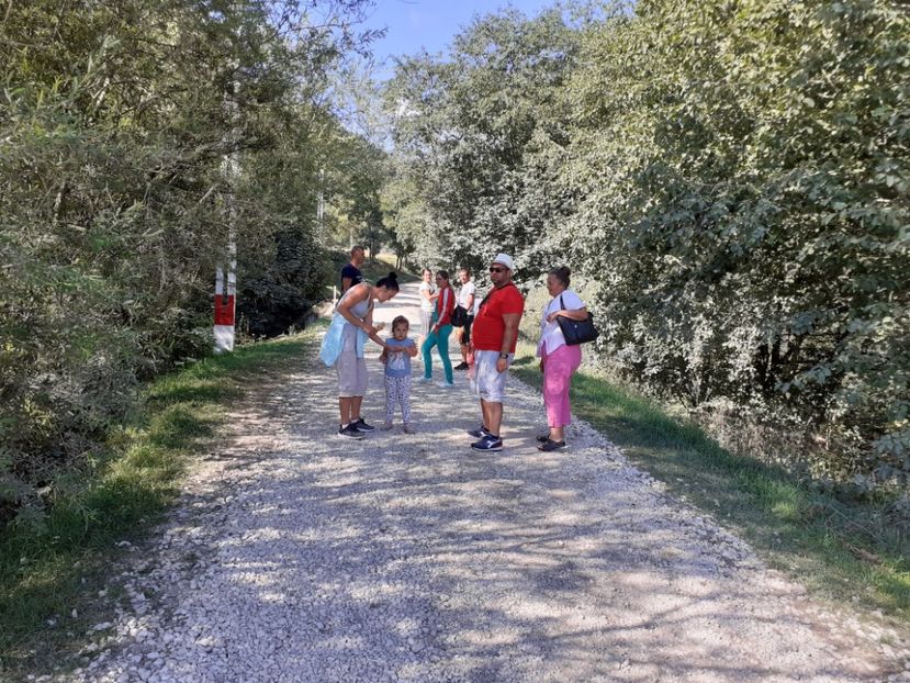  - Vulcani Norocoși concediu 2020