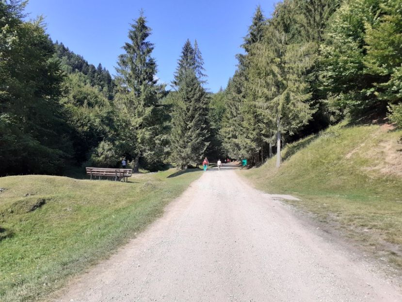  - Vulcani Norocoși concediu 2020