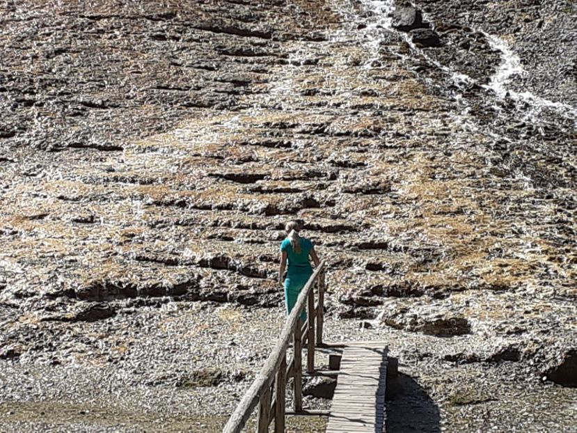  - Vulcani Norocoși concediu 2020