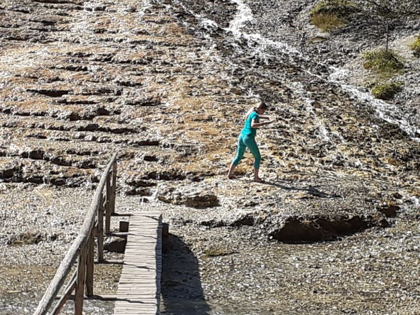  - Vulcani Norocoși concediu 2020