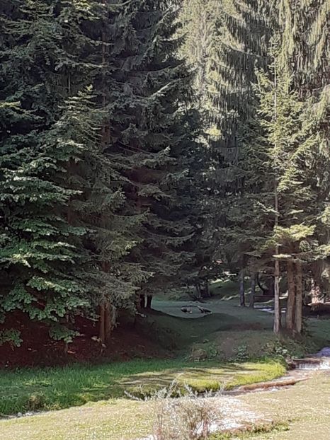  - Vulcani Norocoși concediu 2020