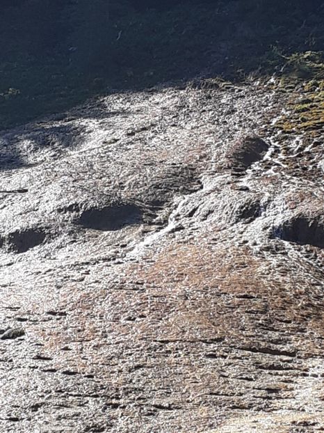  - Vulcani Norocoși concediu 2020