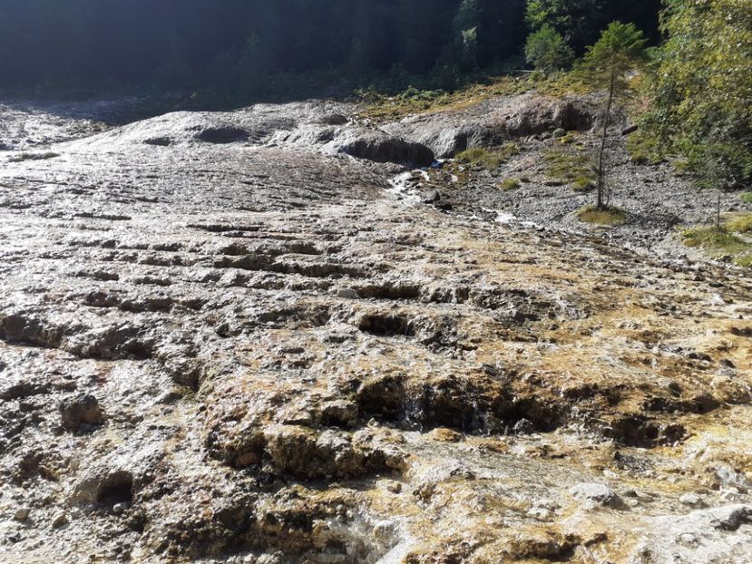  - Vulcani Norocoși concediu 2020