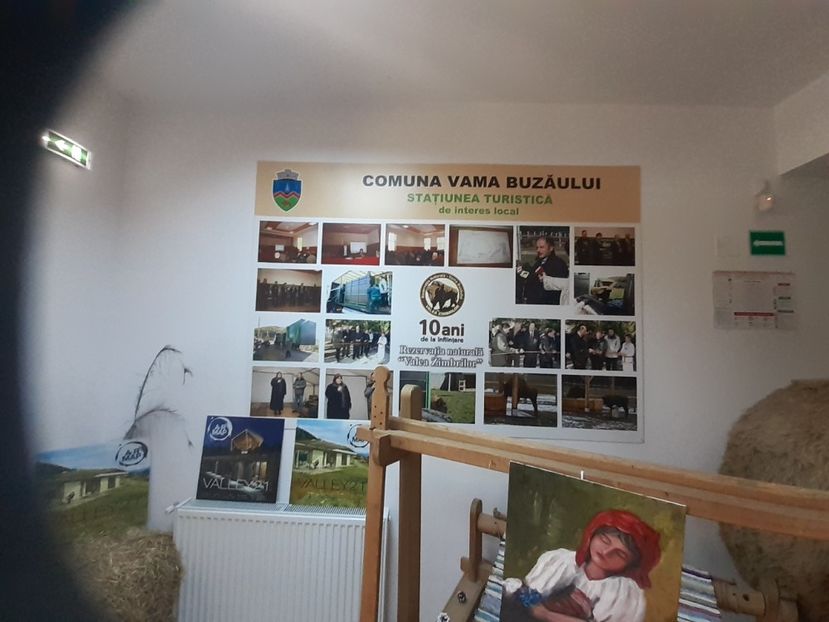  - Vulcani Norocoși concediu 2020