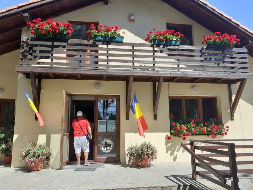  - Vulcani Norocoși concediu 2020