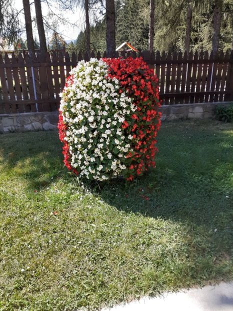  - Vulcani Norocoși concediu 2020