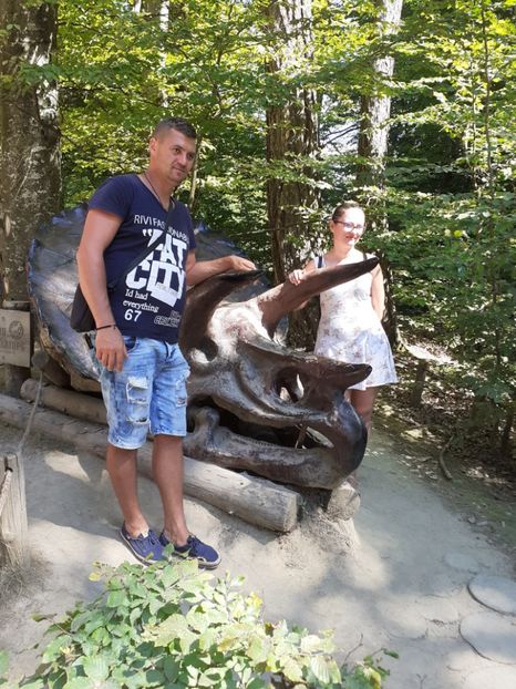  - Vulcani Norocoși concediu 2020