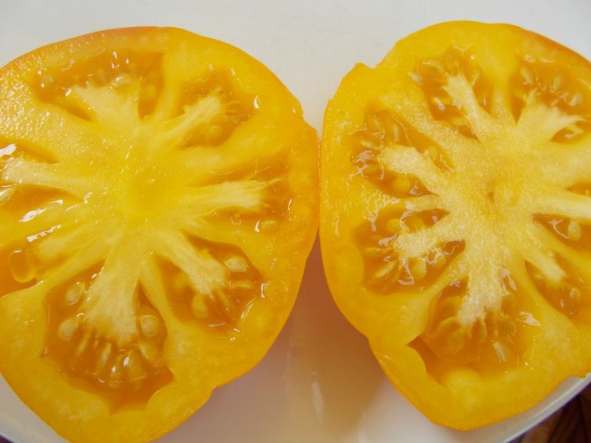  - SEMINTE ROSII - T 524 ISMAIL S RIBBED - SUN OF DESERT