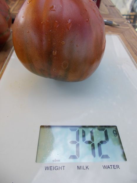  - SEMINTE ROSII - T 529 BRAD S BLACK HEART