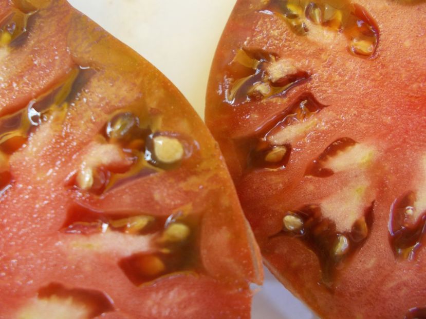  - SEMINTE ROSII - T 529 BRAD S BLACK HEART