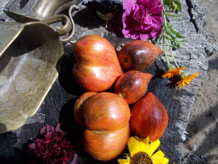  - SEMINTE ROSII - T 543 CRUSHED HEART