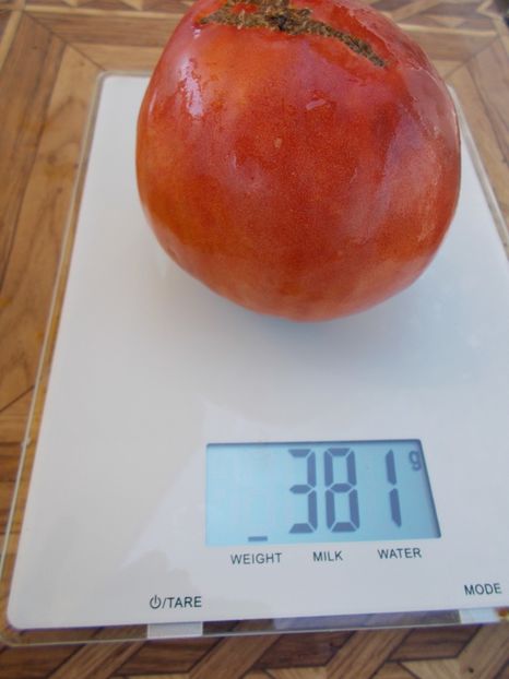  - SEMINTE ROSII - T 623 ROZOVYY KIT