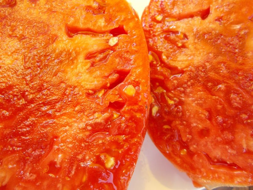  - SEMINTE ROSII - T 623 ROZOVYY KIT