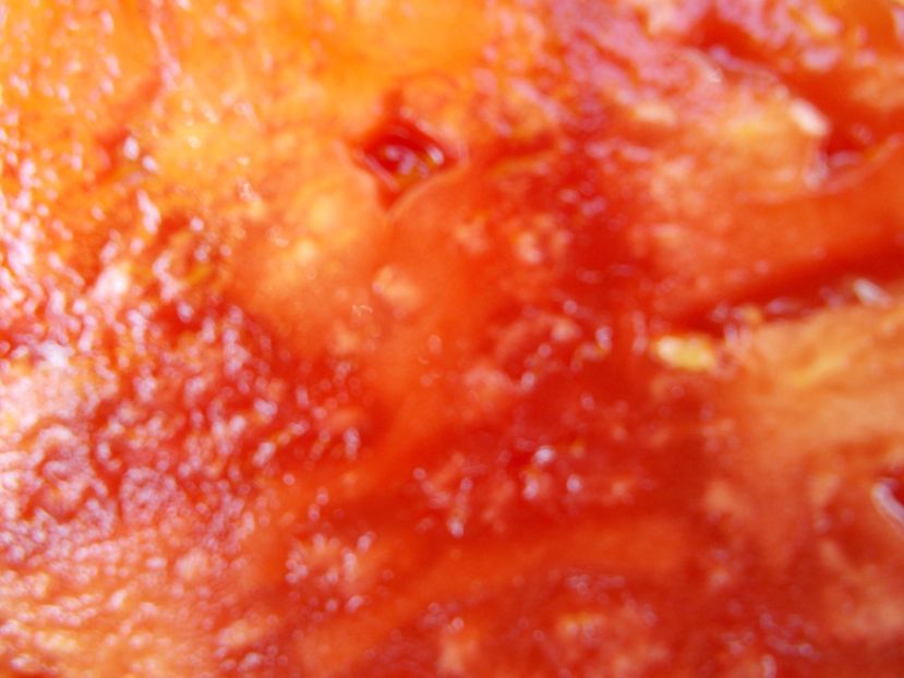  - SEMINTE ROSII - T 623 ROZOVYY KIT