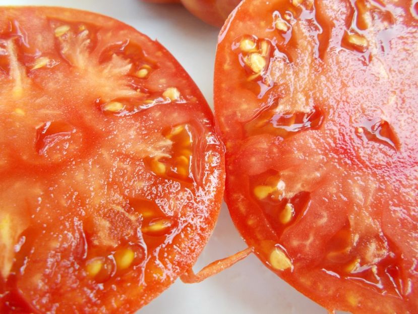  - SEMINTE ROSII - T 581 POTIRON ECARLATE