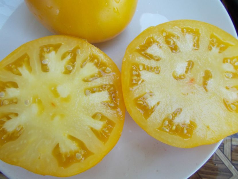  - SEMINTE ROSII - T 541 DYNNYYE