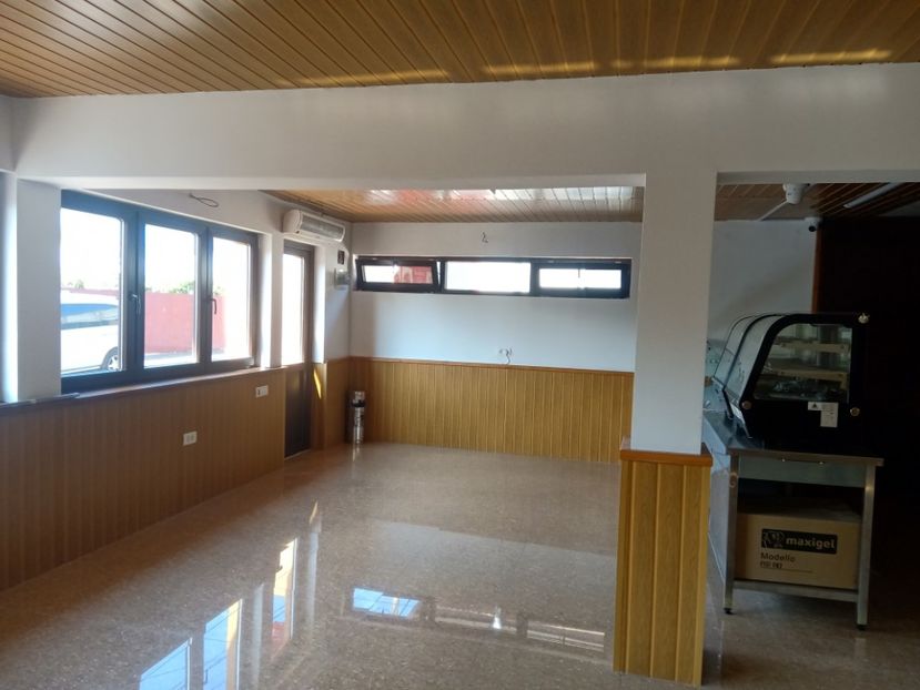  - Lucrari 2019si2020