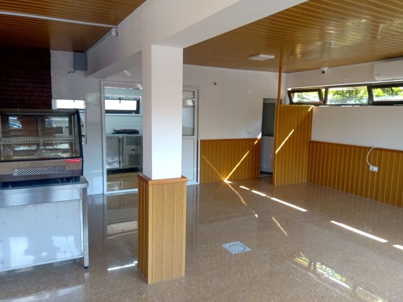  - Lucrari 2019si2020