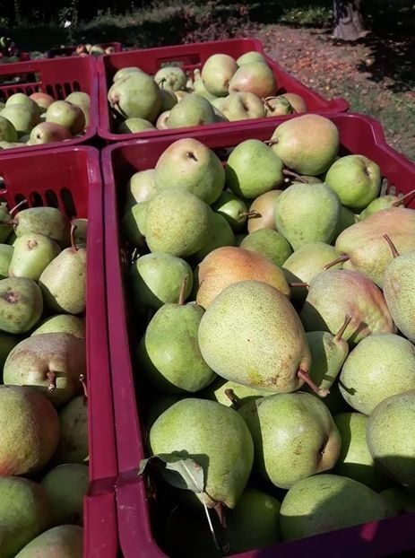 poza nu imi aparține - Para lui Niță