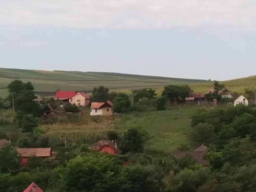  - Satu Nou
