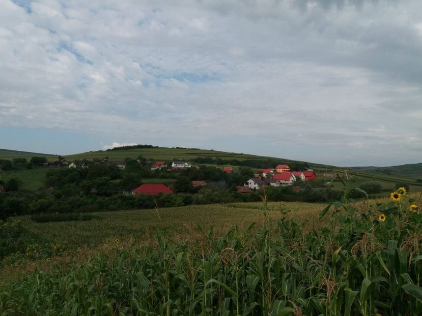  - Satu Nou