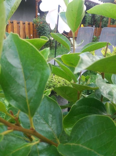 117443890_666968327496349_8042227647130220692_n (1) - noi achizitii