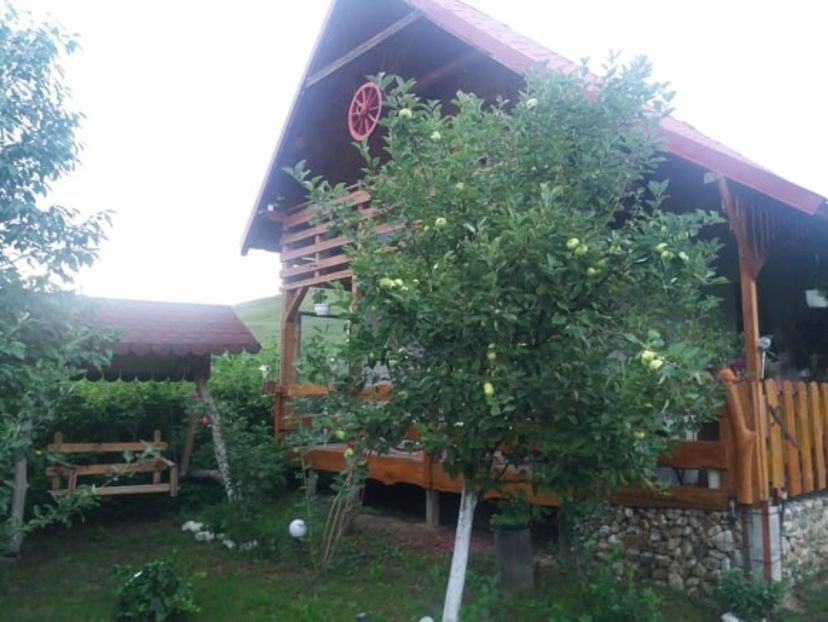 107641295_878173249370909_2921535414458004774_n - Copy - curtea in vara 2020