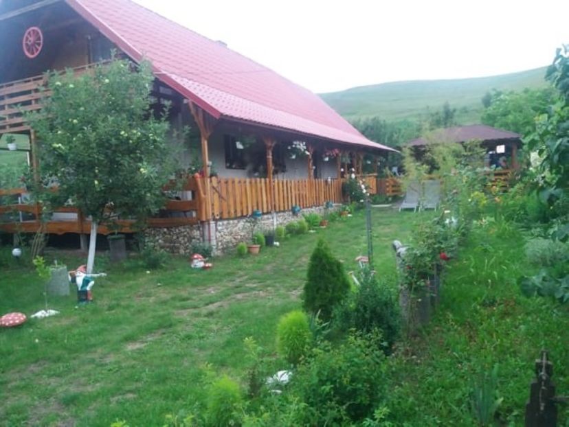 107699963_301266277724623_7363626301148169935_n - Copy - curtea in vara 2020