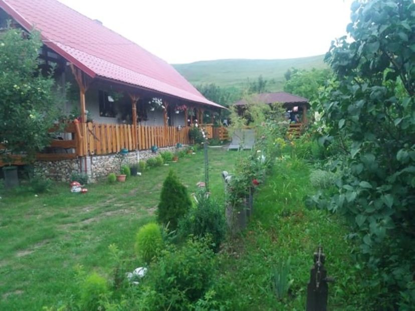 107751408_744302796329426_7387277217056374168_n - Copy - curtea in vara 2020