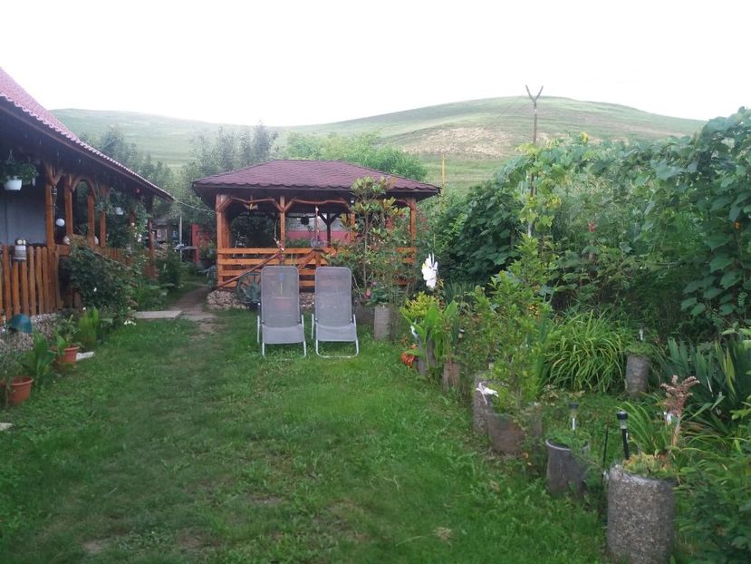 116443747_2749095125373088_9187016970173895654_n - Copy - curtea in vara 2020