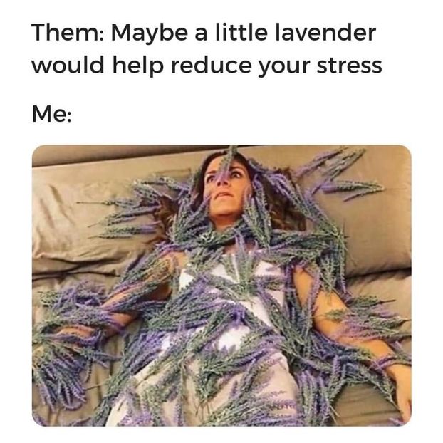 4A0DD7A8-0DF2-460A-A56C-7E852A378D07 - w i remember the rush