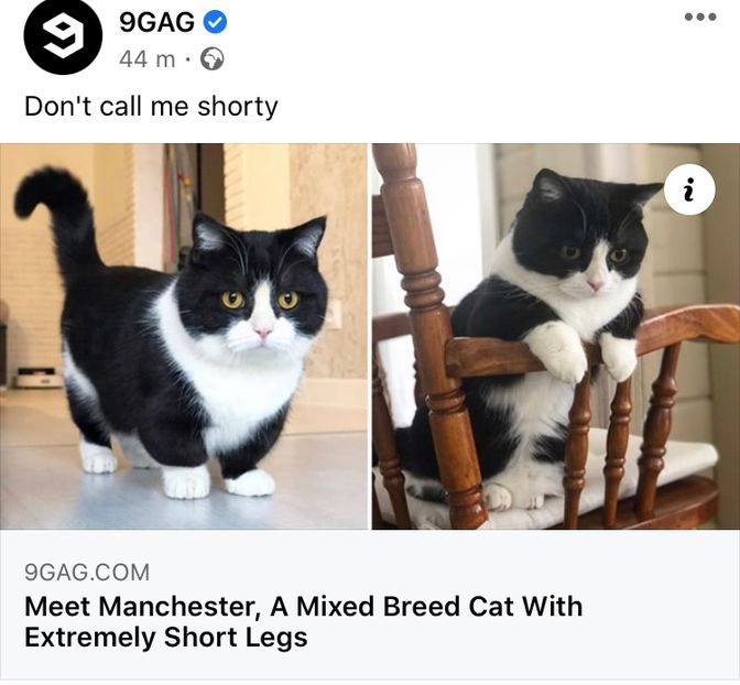 F49A2CEF-2EC6-4934-9176-ED09AEDCC763 - w i remember the rush