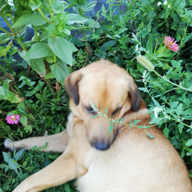  - 0 0-2020-2023 curtea cu toate cele!