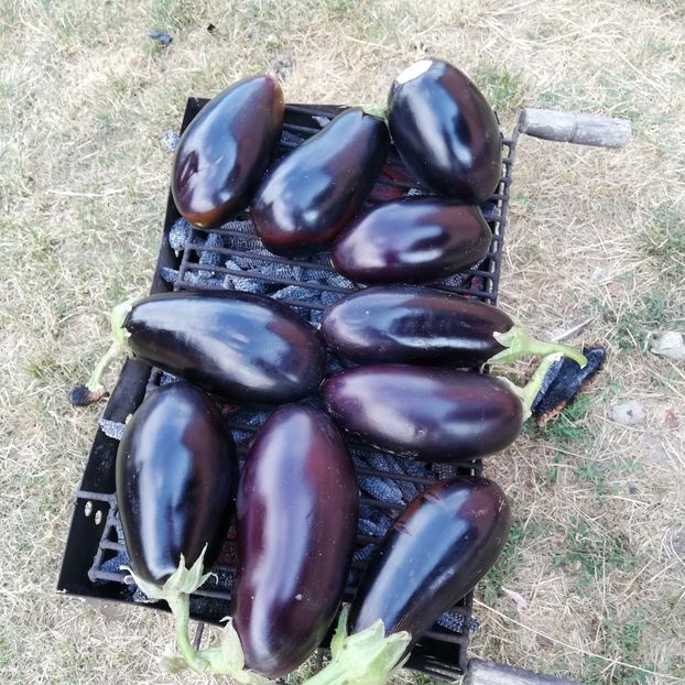  - 0 0-2020-2023 curtea cu toate cele!