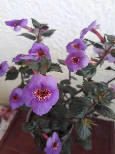  - 0001 2022 - Big Bang