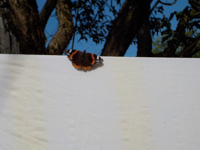  - Natura cu frumusetile ei