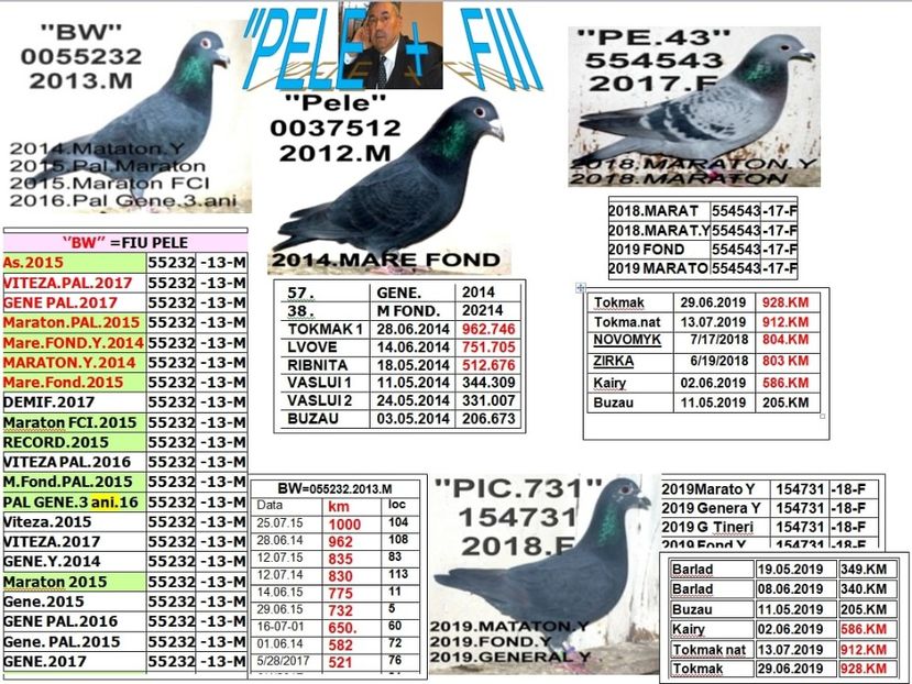 G.PELE+ FII - 2 MATCA 2020