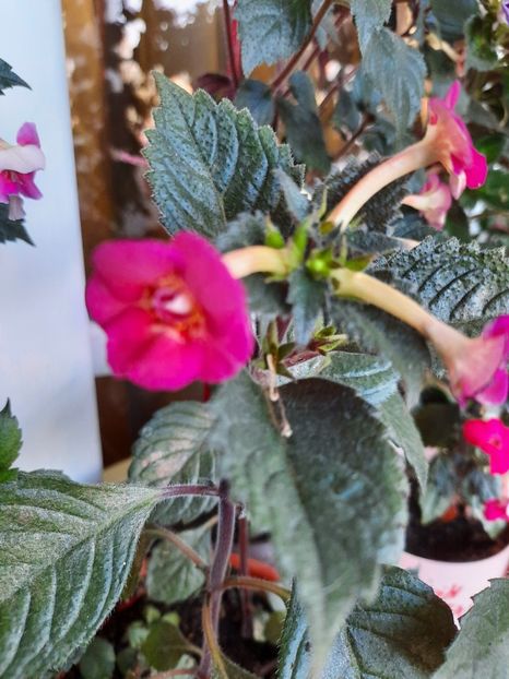  - Hard To Get-pierdut