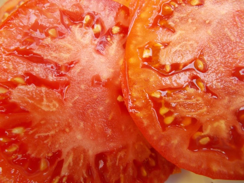  - SEMINTE ROSII - AUS ASTRACHAN