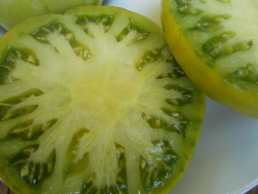  - SEMINTE ROSII - T 539 - EMERALDO GIGANT DWARF