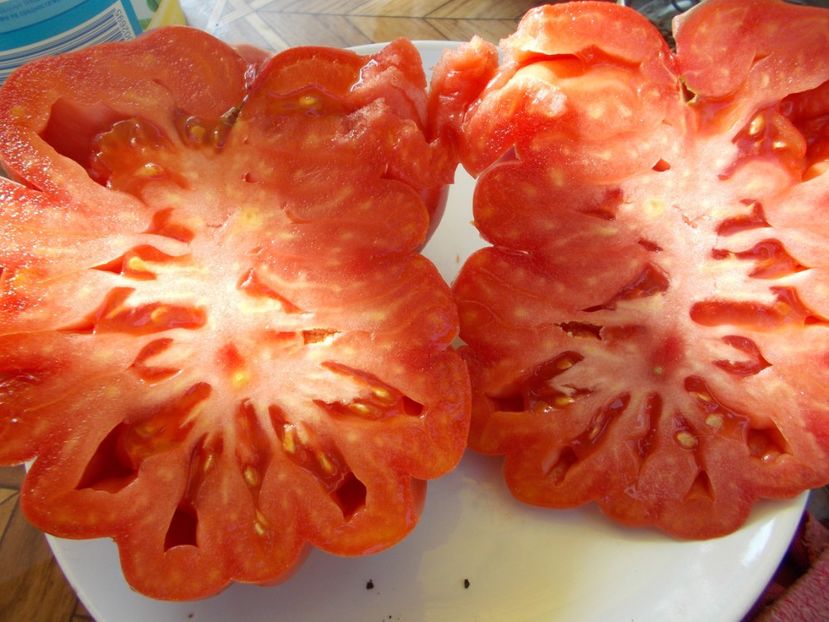  - SEMINTE ROSII - T 550 MORSKAYA ZVEZDA