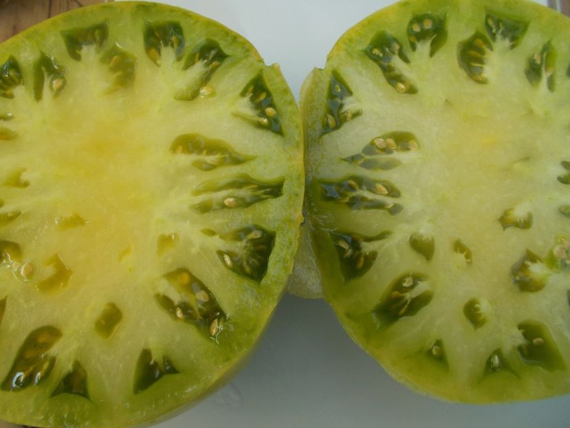  - SEMINTE ROSII - T 445 CHARLIE ST GREEN