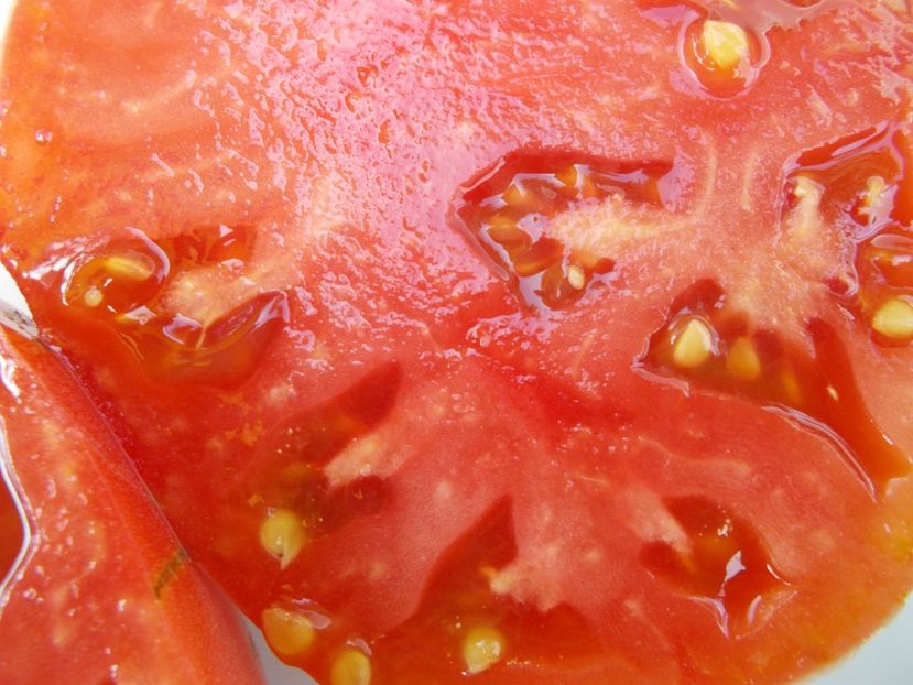  - SEMINTE ROSII - T 468 BRANDYWINE COWLICK S