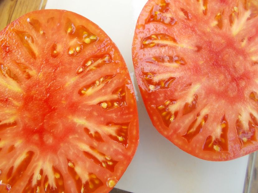  - SEMINTE ROSII - T 523 BULGARIAN HALA