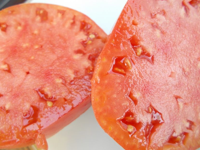  - SEMINTE ROSII - T 551 MINUSINK WOLOWJE SERDTSE