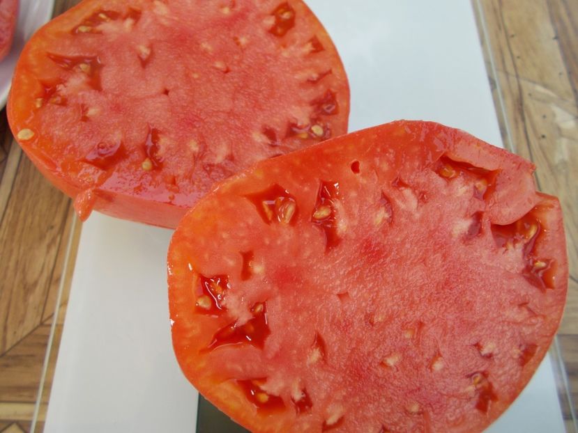  - SEMINTE ROSII - T 551 MINUSINK WOLOWJE SERDTSE