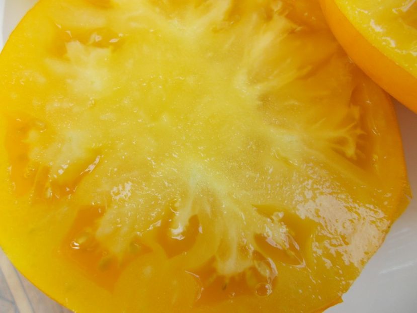  - SEMINTE ROSII - T 553 LIMONNY - AUS TAIGA