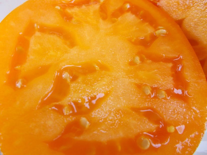  - SEMINTE ROSII - T 509 QIYANAI HUANG