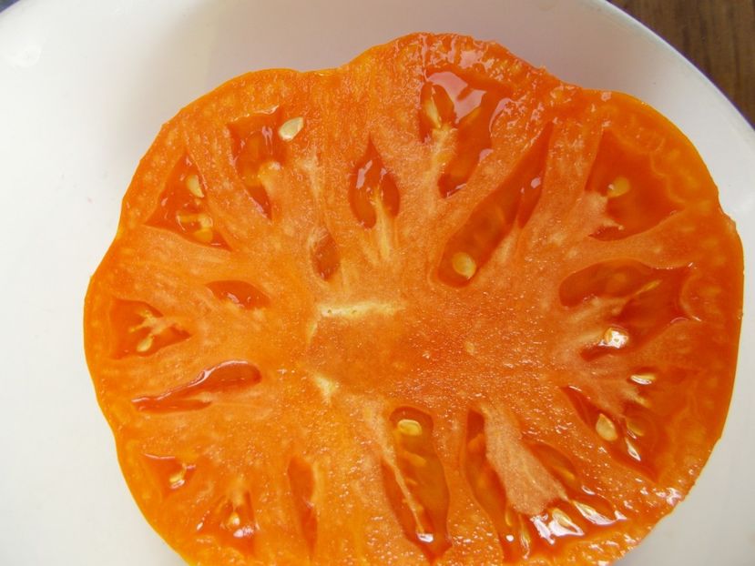  - SEMINTE ROSII - T 555 ZOLOTOY VEK