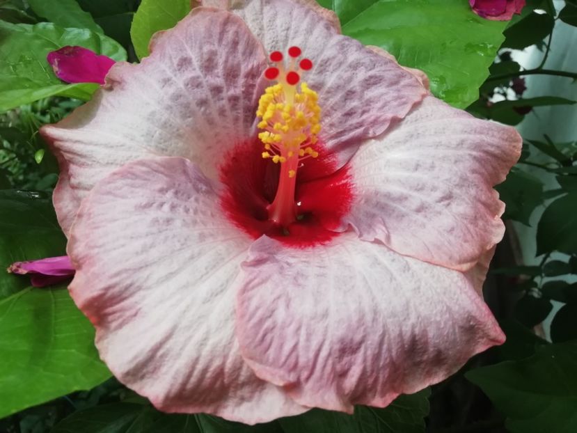  - BARRY SCHLUETER X SHIVA-uscat